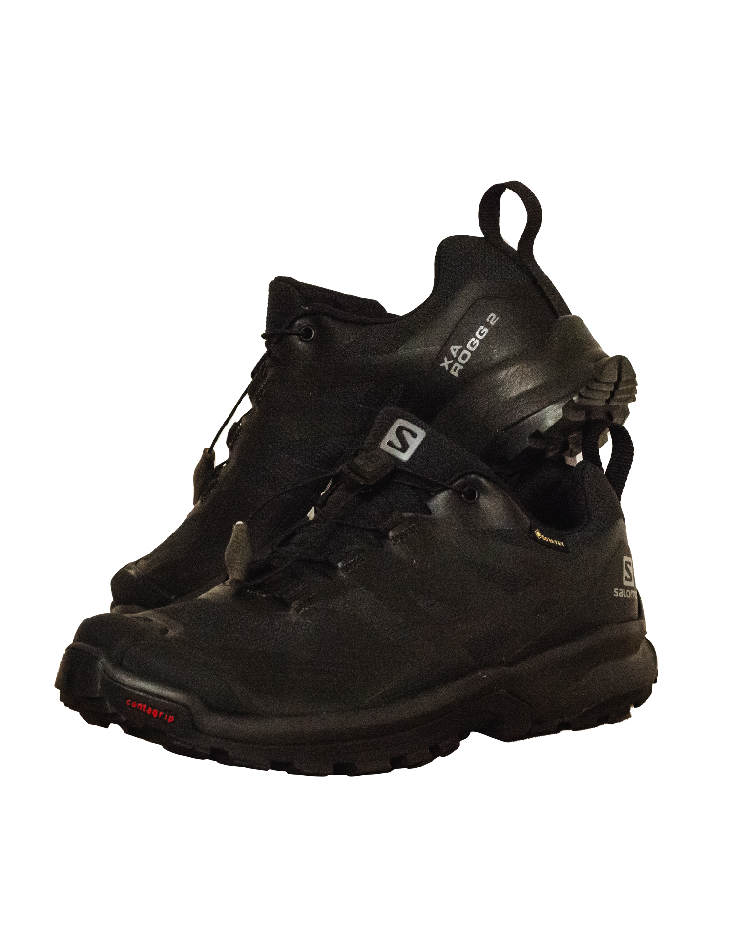 Salomon XA ROGG 2 W GTX