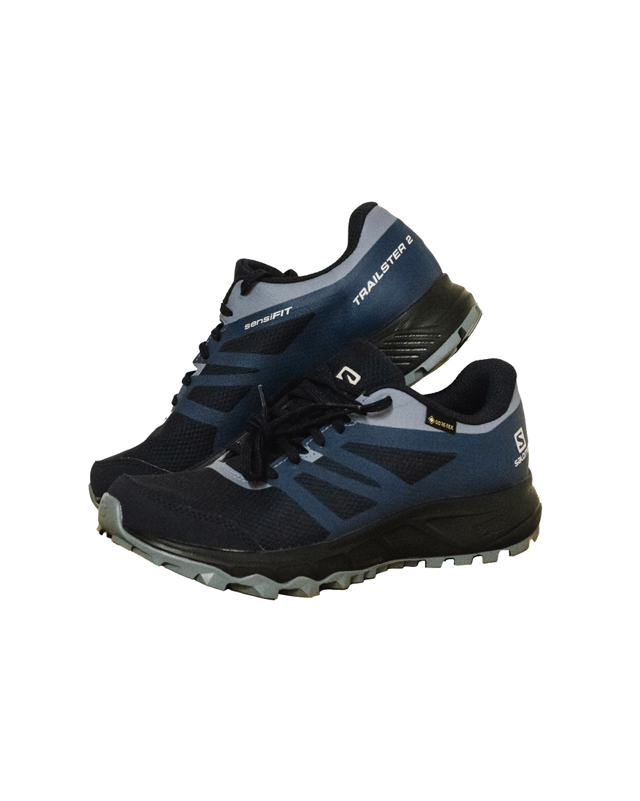 Salomon Trailster 2 Goretex Sensifit Shoes blue