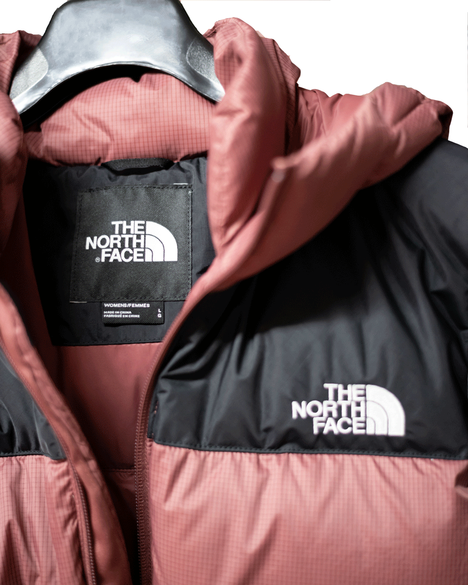 The Nort Face Salmon Down Jacket